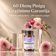 menopauzė